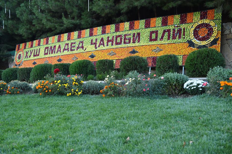 44733985_2219139118156262_1209746056531673088_n