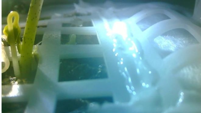 _105188000_mediaitem105187999