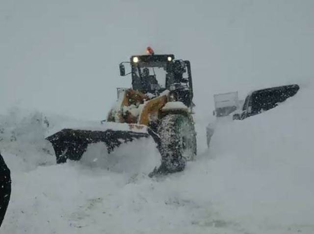 50117199_2510320119043371_6306102229321383936_n