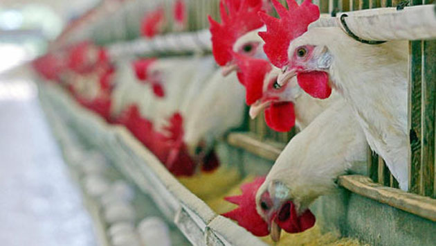 2e9b36ff142371dac7e919cd945f827ebf15cd1f