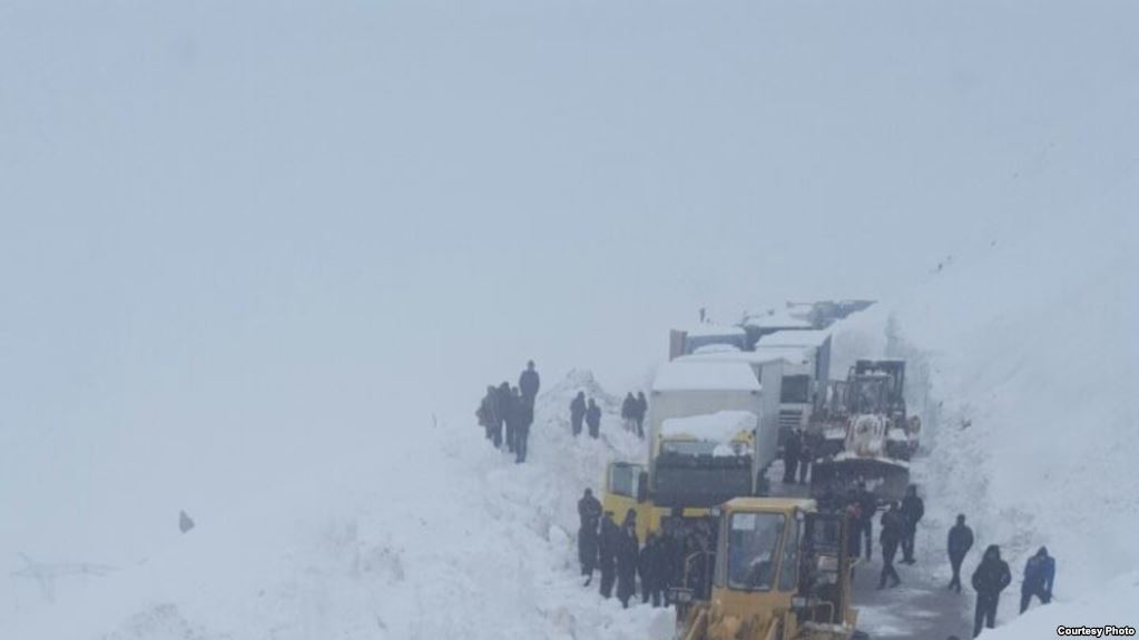 D48720B0-9628-4475-A021-BE9DC8B47BA3_w1023_r1_s