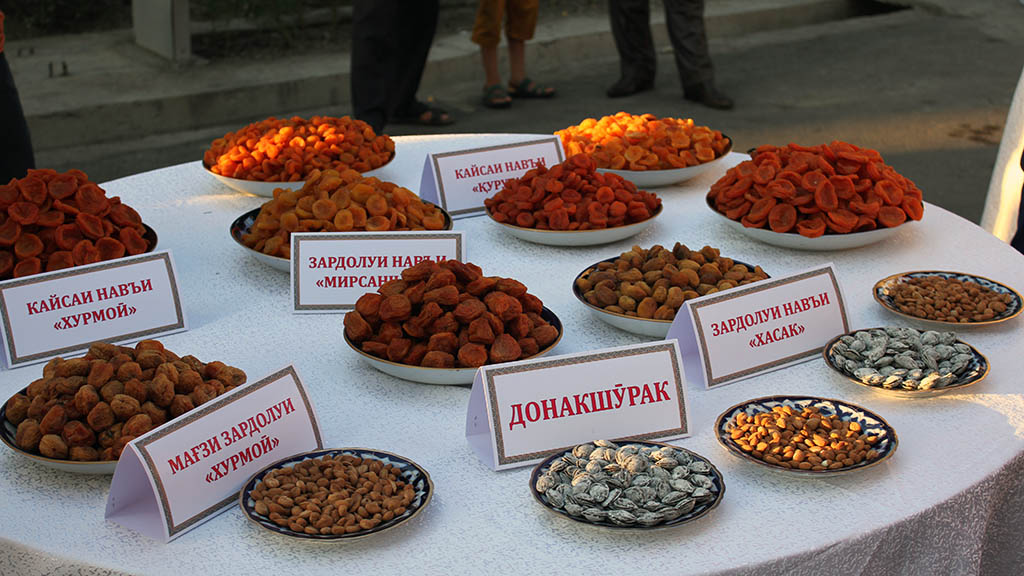 de52185b643ce2cf3463e1482365749a