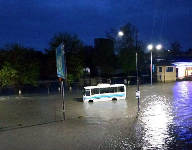 7bd0884a-81ce-43ba-b2a1-05678a6dd683