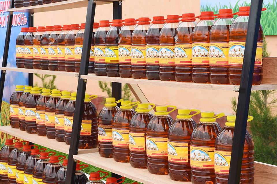 56158128_2556087747794729_5250950033095786496_n