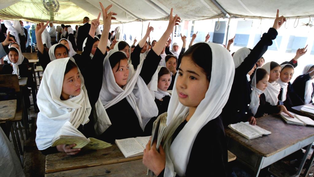 bc47b40e2dd303f2d1f947c42851fefd