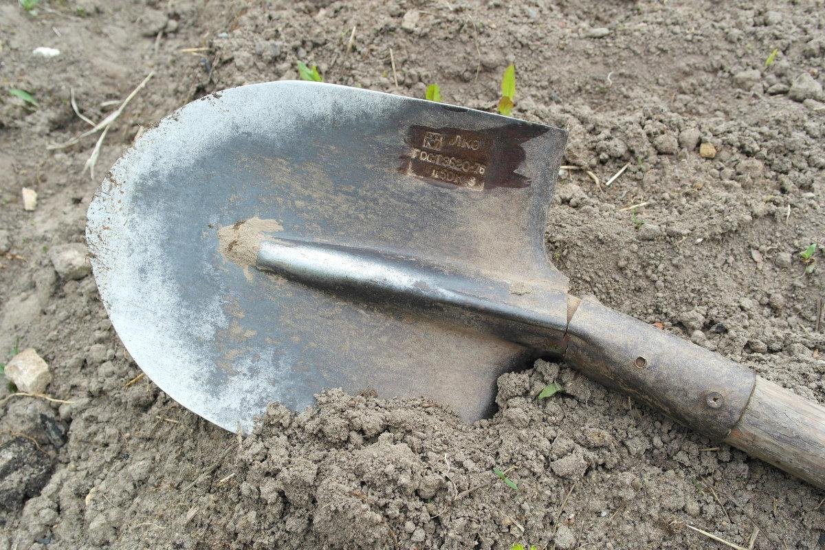 1526983080_zabil-gostya-lopatoy