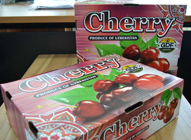 8ae2e62ef82b4bc8bbb1eacd51dc5704