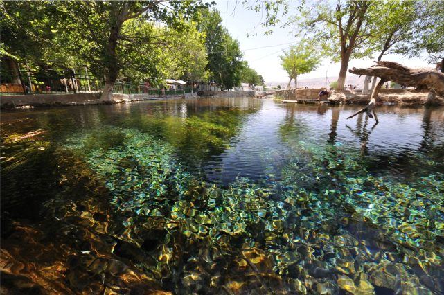 9252e2951c871f61b07ed2e644a6fca6