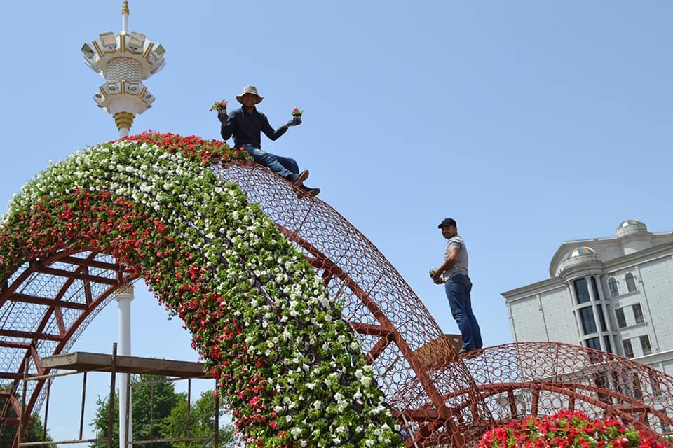 64316441_2312405378824572_8237986937198084096_n