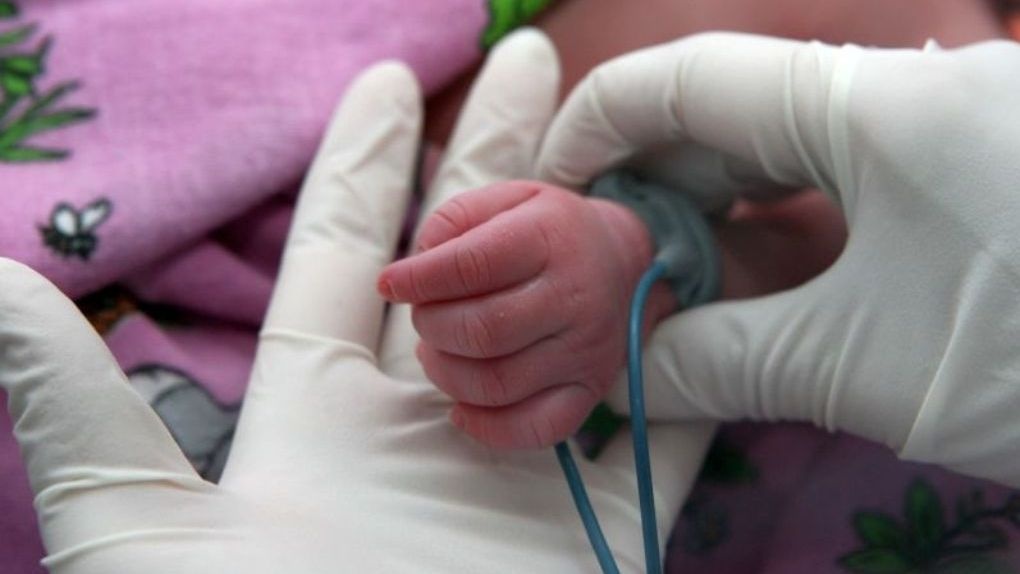 1562568742_1db88cf5_resizedscaled_1020to574