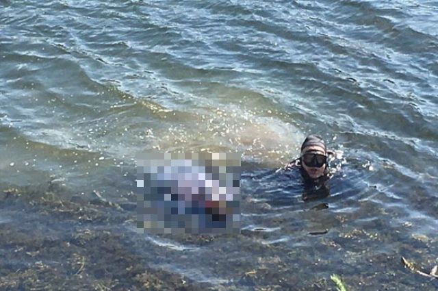 18a023c414dfb0e0bbe9f1658bc0dd1e