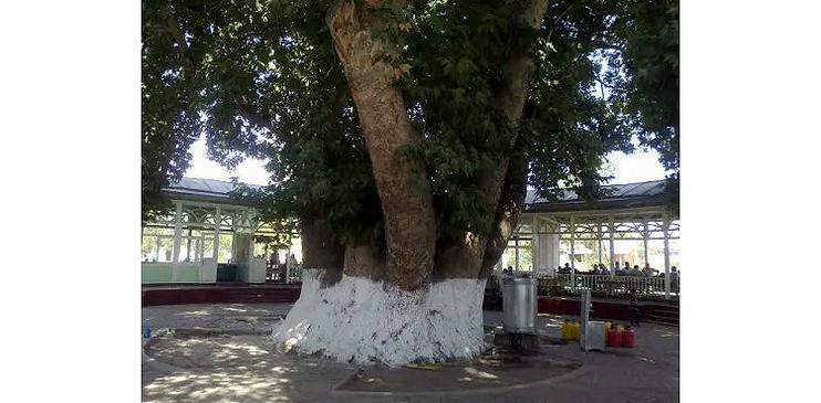 640863dc-bff0-44e5-b6b7-0d1c96f465de