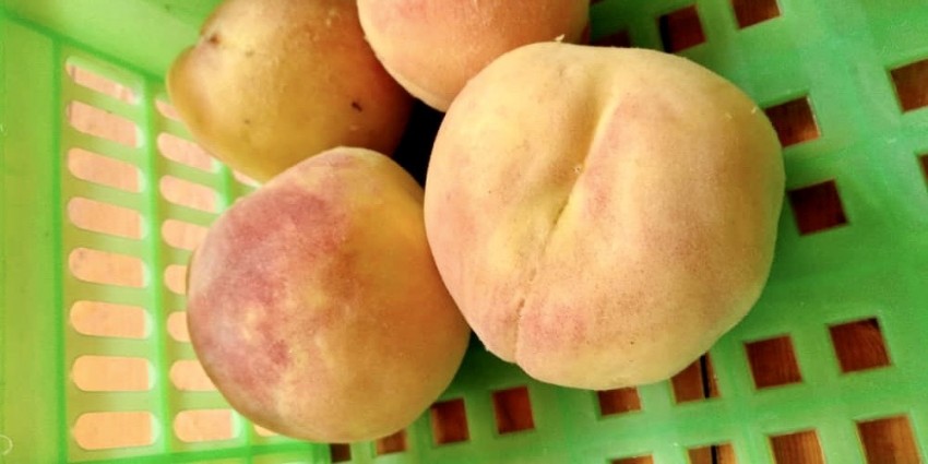 f8cadba0a6d7906f4258e65c8181116f