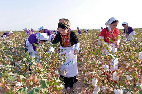 7666db00-13f7-4f04-9d14-3f6556c7f9ca