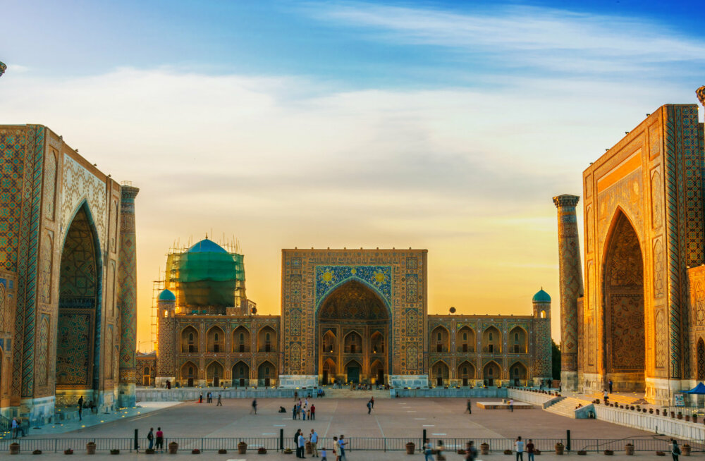 b9b6c5d5a360ec0e85-87166801