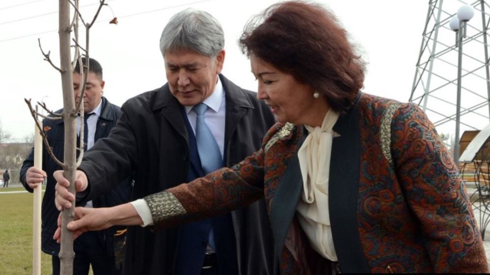 BAE293FC-9BB5-4048-A146-DD328E3EA1B8_cx35_cy9_cw55_w1023_r1_s-1