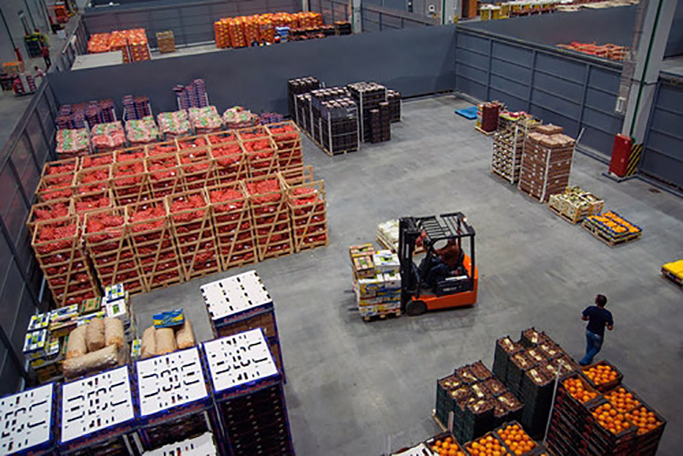 69d43ff7-130f-4c15-9e9f-c5868b9e9758