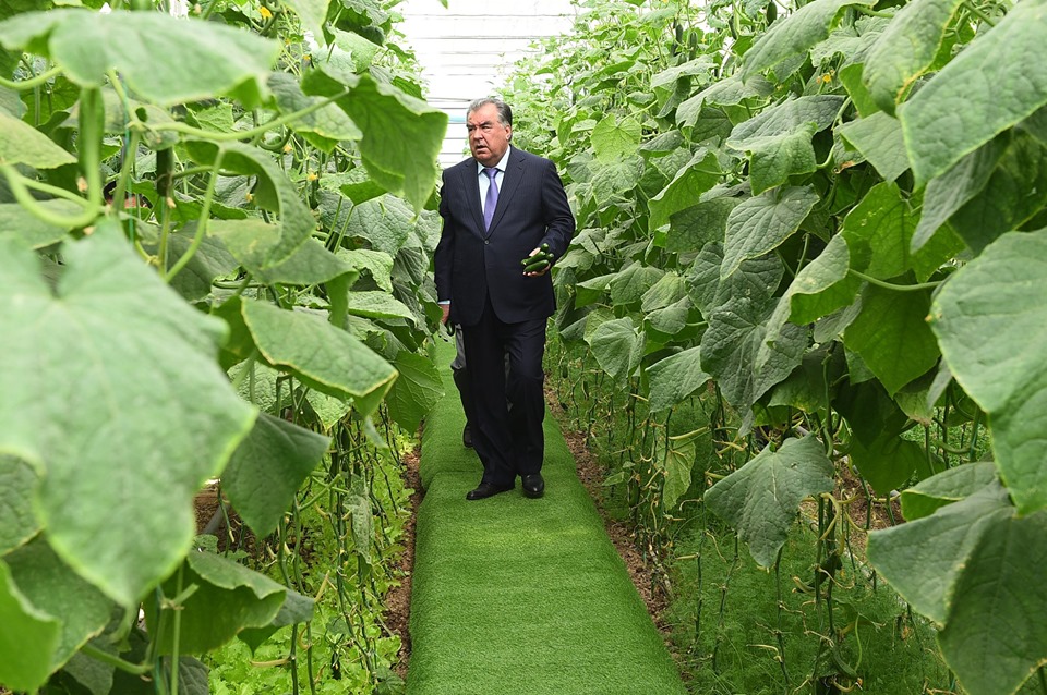 71058268_3004938816242951_5790360331624644608_n