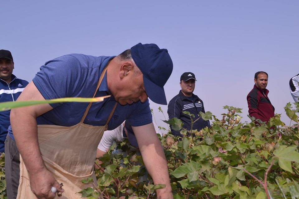 71202799_2156129554688866_3764731313903370240_n