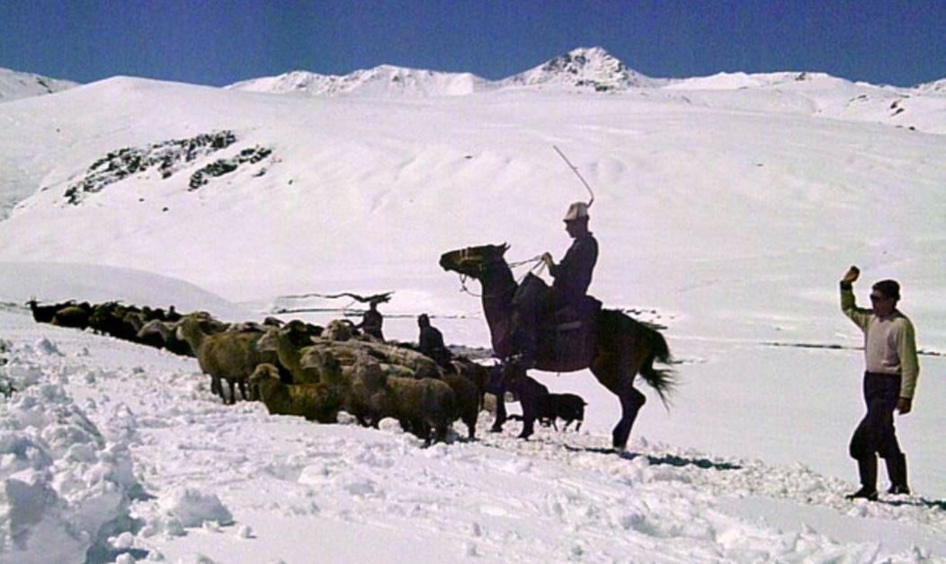 c9752d02dd13c6d71d9ff3a9f8753801