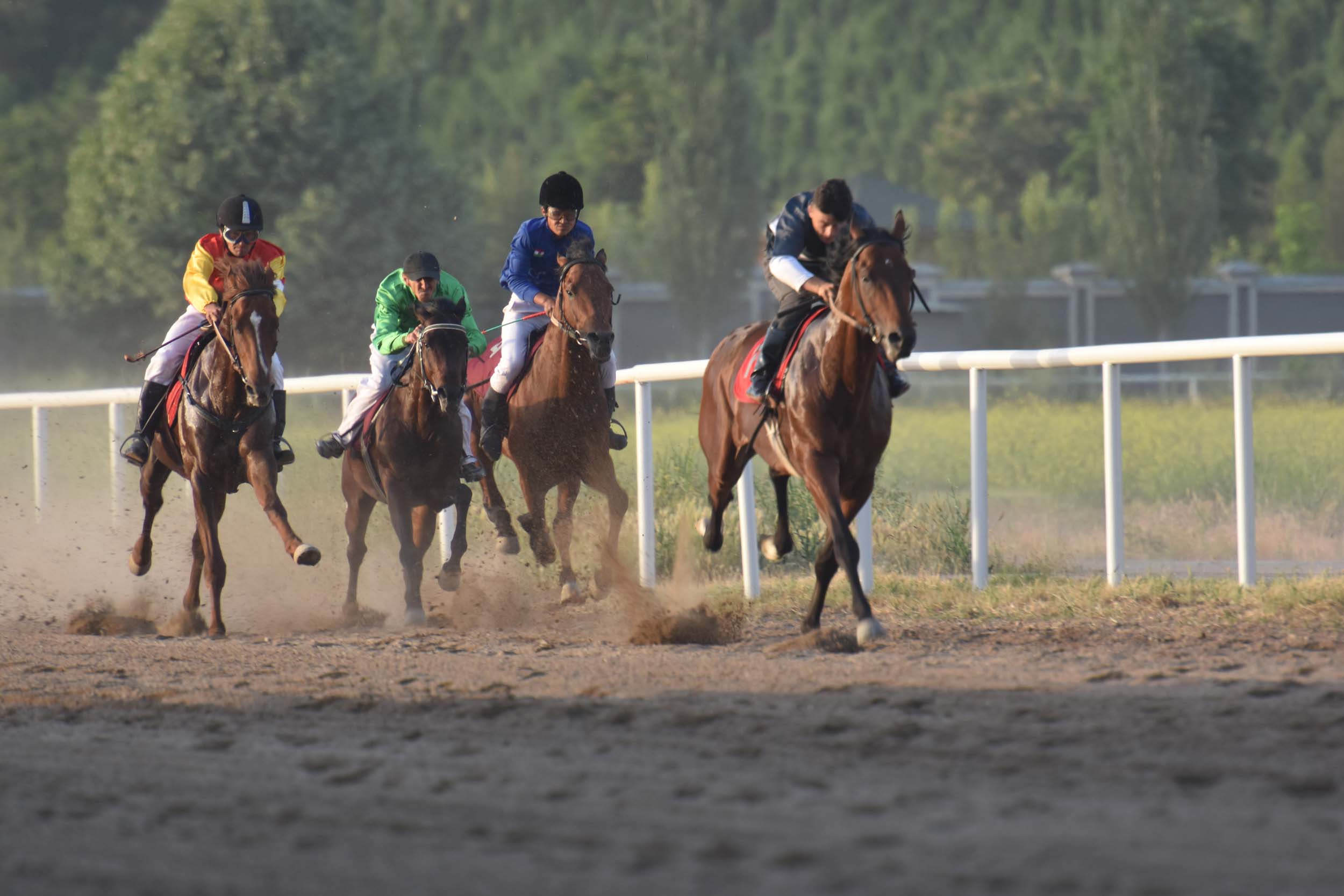 skachki-v-dushanbe-rahsh-okazalsya-bystree-vseh_1