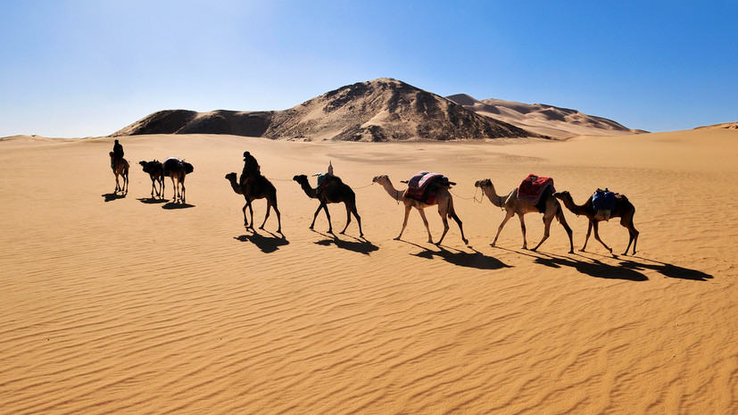 004e86d136e8dc526f8ab5df0b192a16