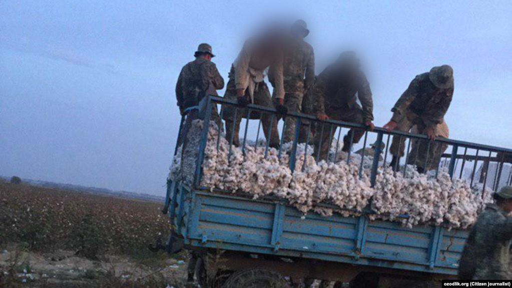 447319CA-F85F-40F1-A8D4-07C90849286C_cx0_cy17_cw0_w1023_r1_s