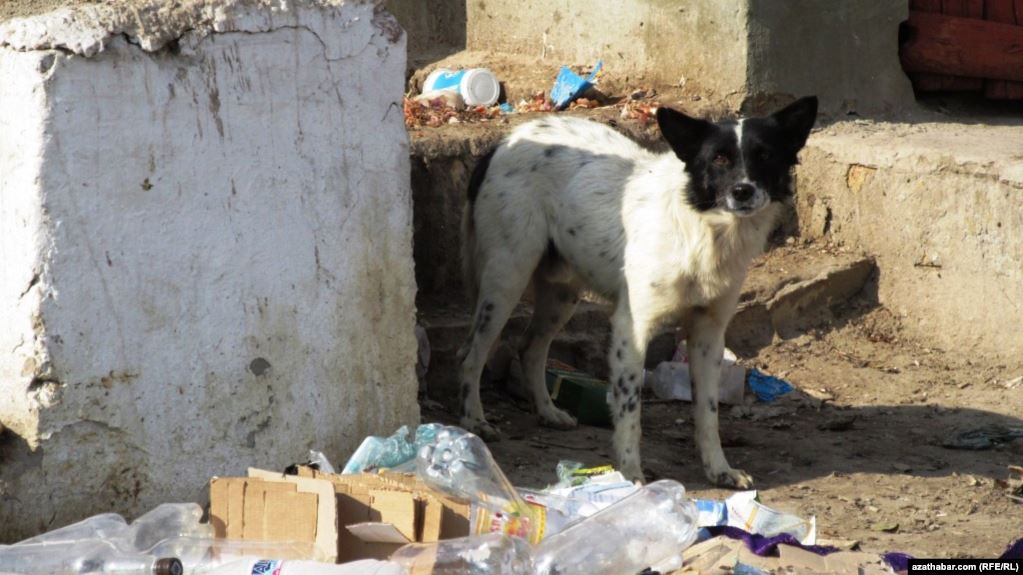 6E2D11D5-CBAF-4693-AD82-F8B69FBB085A_cx0_cy10_cw0_w1023_r1_s