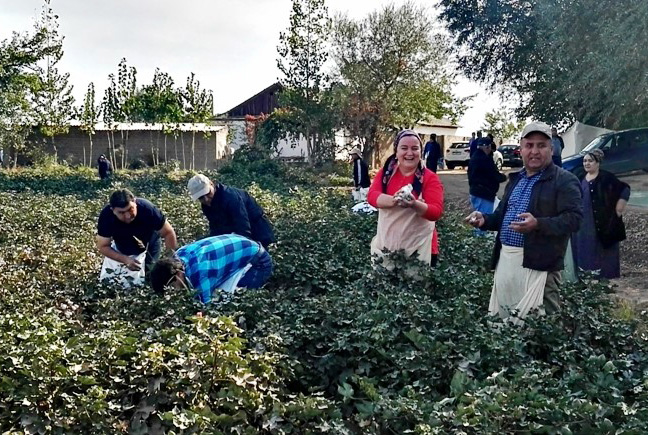 72286905_2257454517714881_2664582239966199808_n