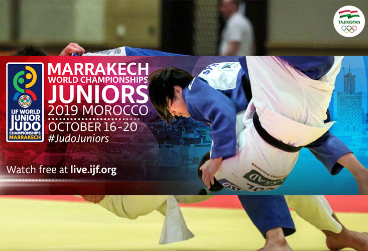 a43029346e39e3b3f7723b97f12bb863