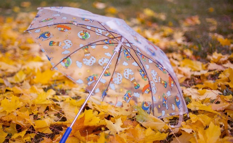 eef5e08d_resizedScaled_1020to499