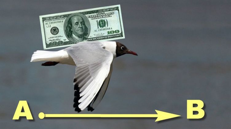 Kak-sdelat-perevod-deneg-iz-SSHA