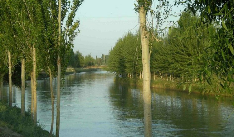 v-namangane-otec-ne-zhelaya-platit-alimenty-utopil-637055951259364383_750x442