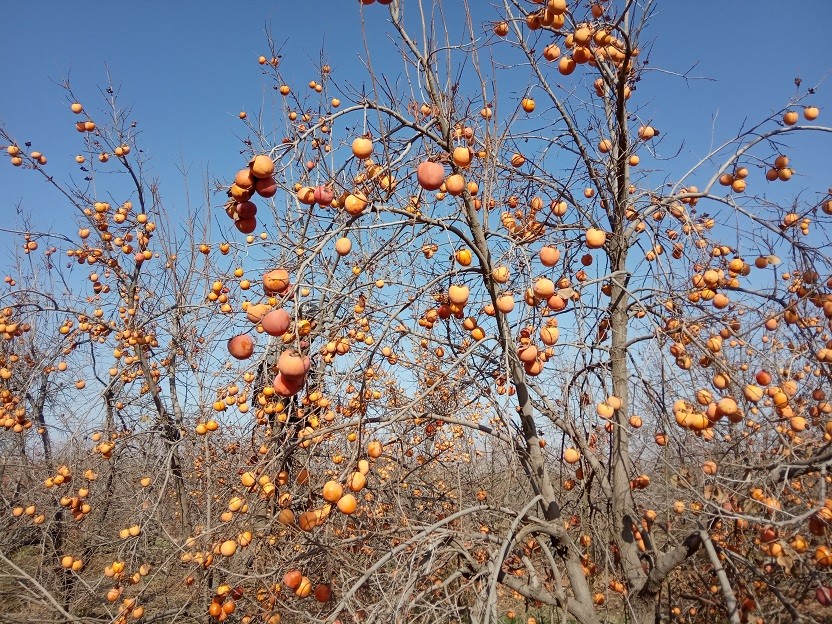 0f19a193438b6a628da5e9af5845f981