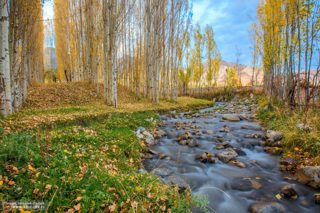 2009-11-01-16-56-42_IMG_3189-Edit_mini