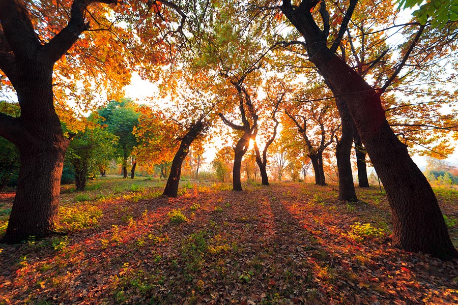 2010-11-14-16-36-07_IMG_8636sm