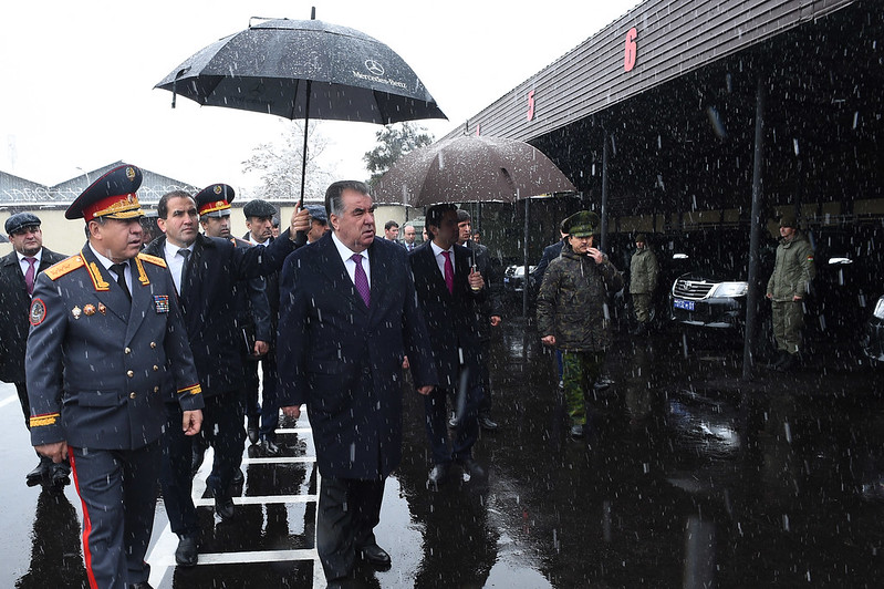 49104146116_8edd5b7c57_c