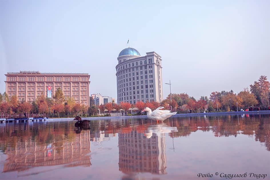 75072696_2510979809030873_460147205362155520_n