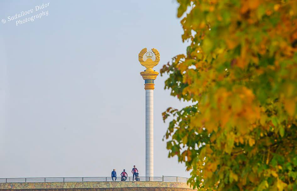 75534271_2506789242783263_3212127253798322176_n