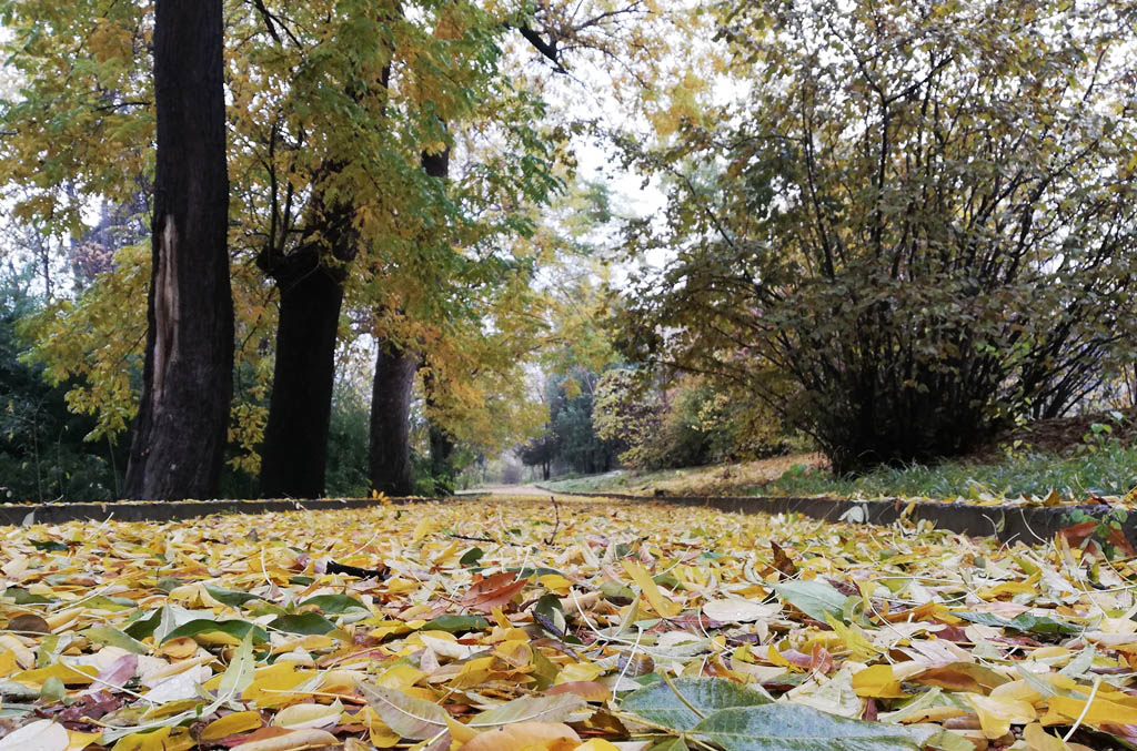 IMG_20191124_154532_111