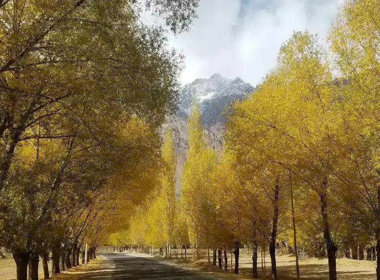 photo_2019-10-24_15-38-02