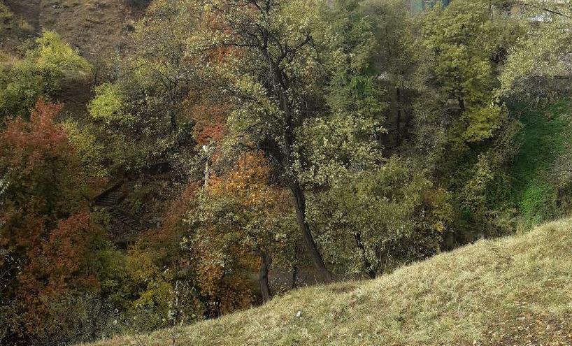 photo_2019-10-31_09-12-03