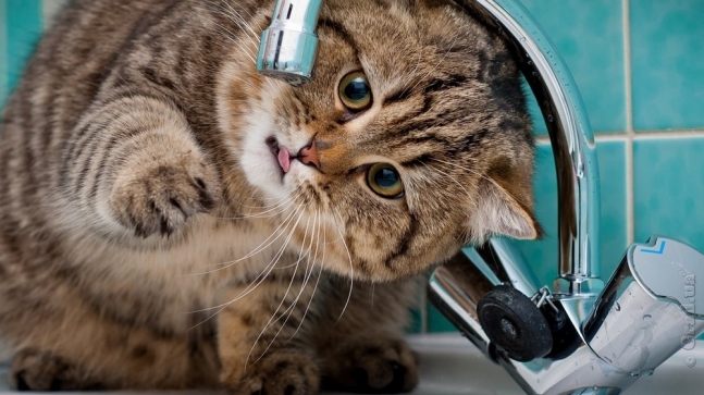 6f3f9e518cb281b674e8be7934466