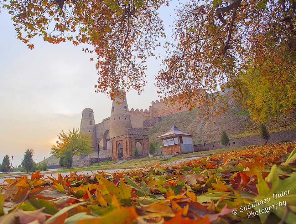 76762542_2527767094018811_6731918571380670464_n