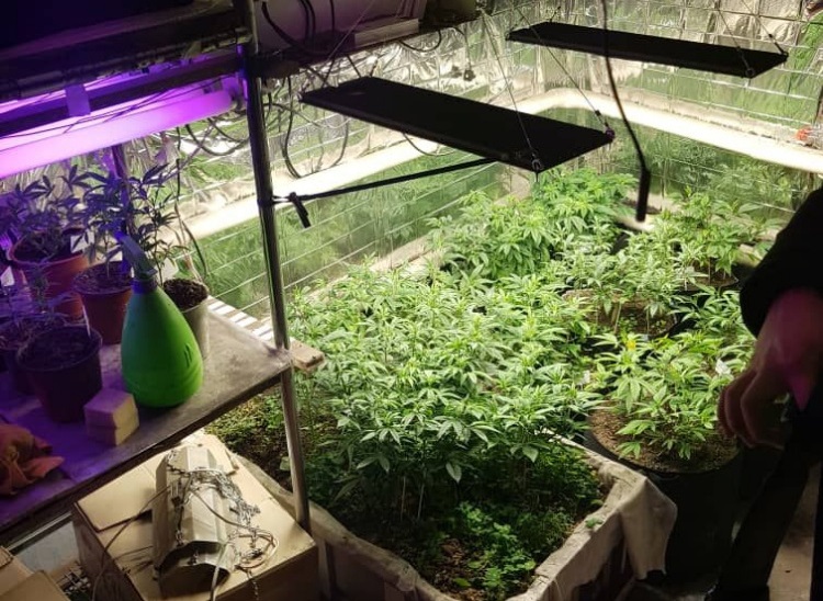 2020-01-24_19-15-53_698372