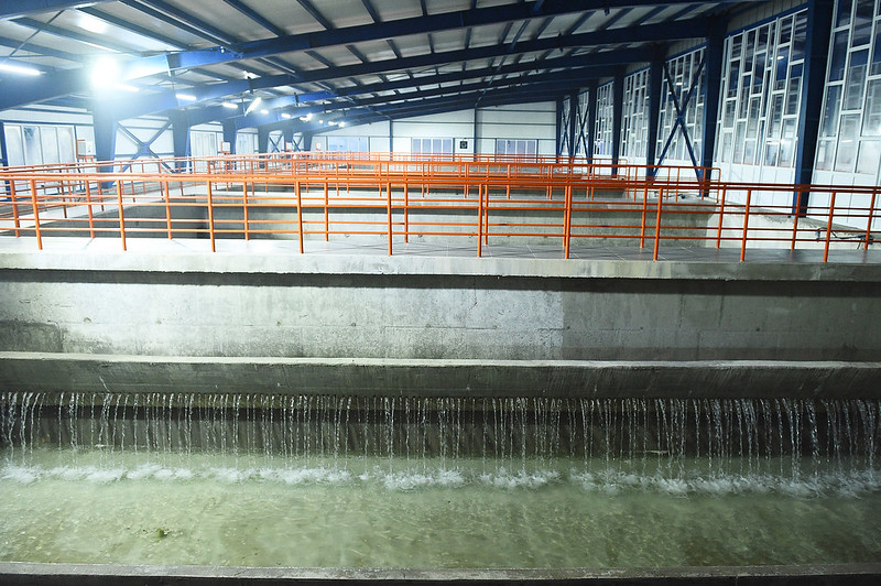 49388866687_61cba714a3_c