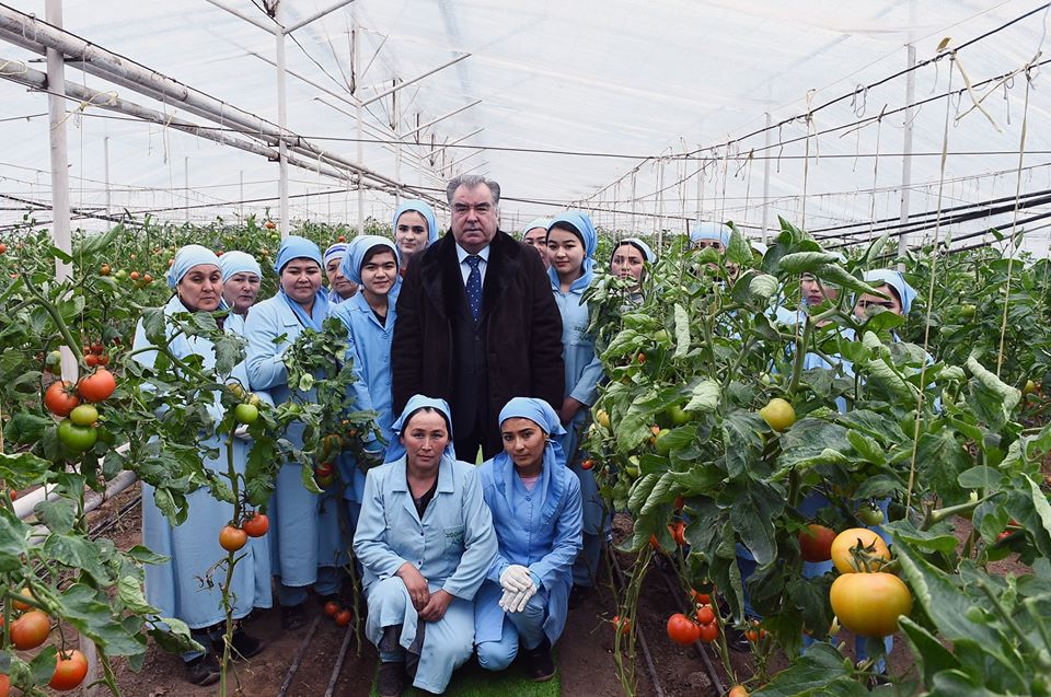 81586335_3320523361351160_3067462692160667648_o