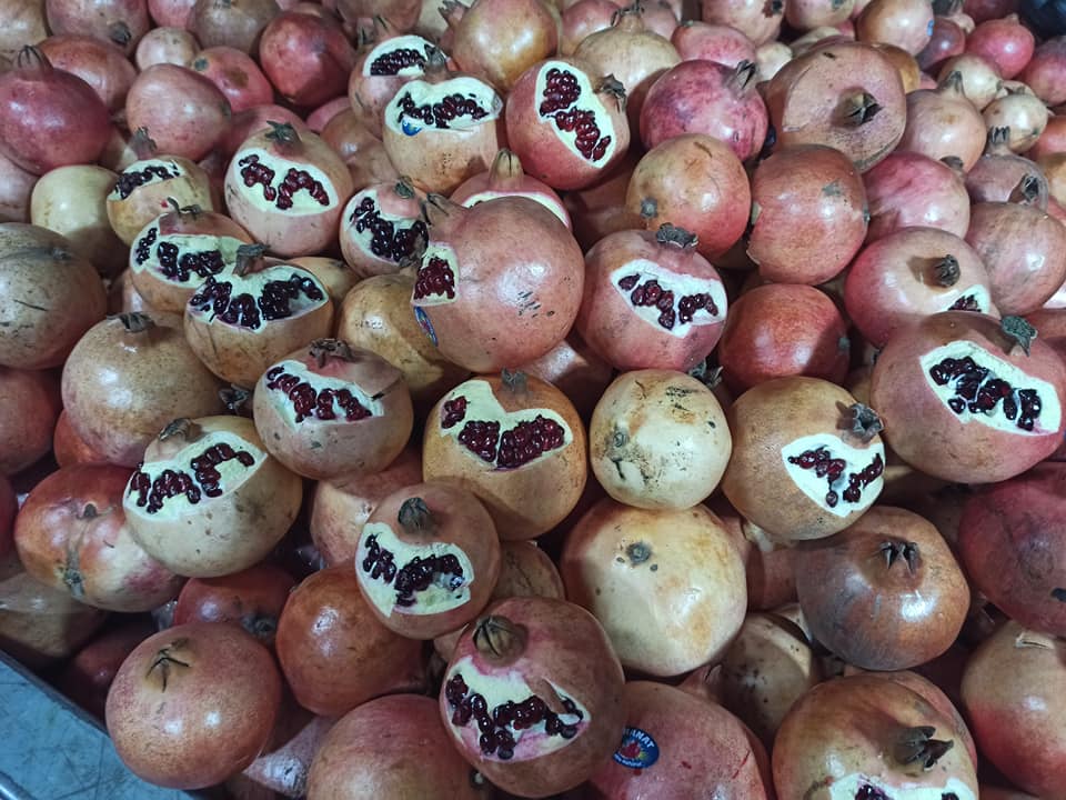 84246341_2667094023419450_4398135373977354240_n