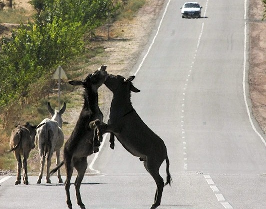 84468244_2520963658153692_9197726980403888128_n