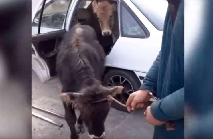 photo_2020-01-13_10-25-06